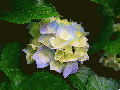 fbe1b03f563de4a9ef2ea0ee31cdf97381a35796